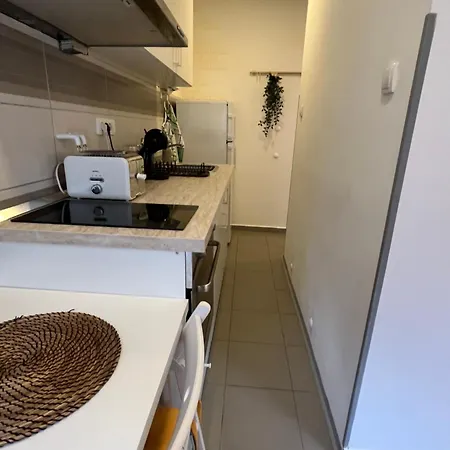 Διαμέρισμα Tesla View *