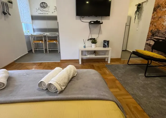 Tesla View * Belgrado